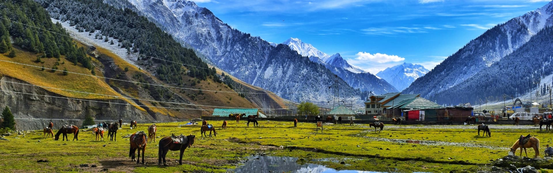 Himachal Pradesh